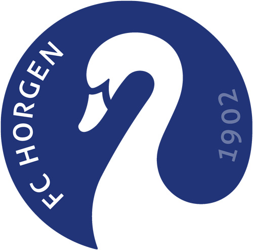 Logo fch schrift rgb 500