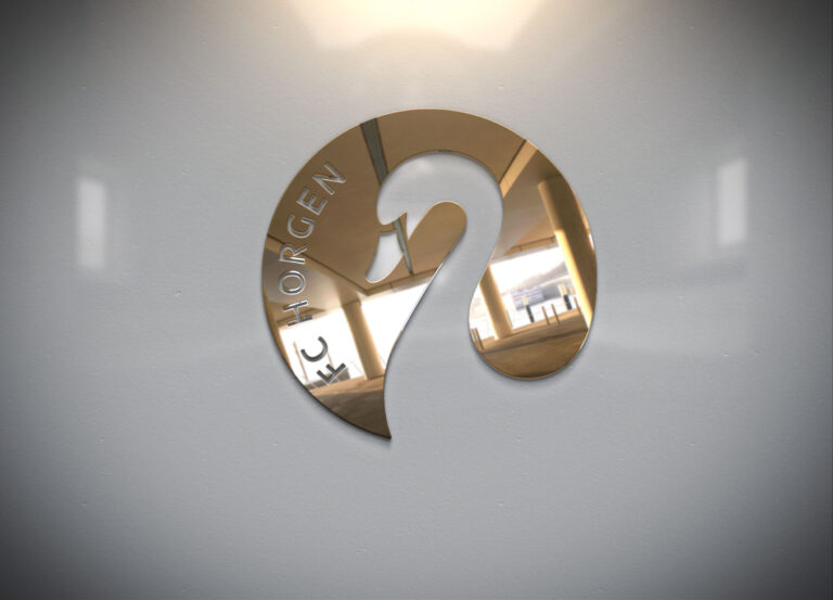 Sonntag 02.11.25 16:00 Uhr: FC Horgen 1 – SC YF Juventus 2